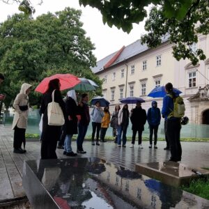 Safari_linz
